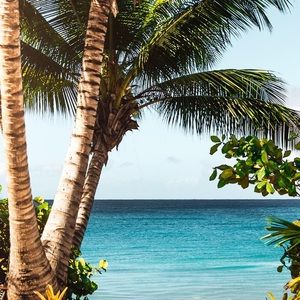 Meet your Posher, Thi